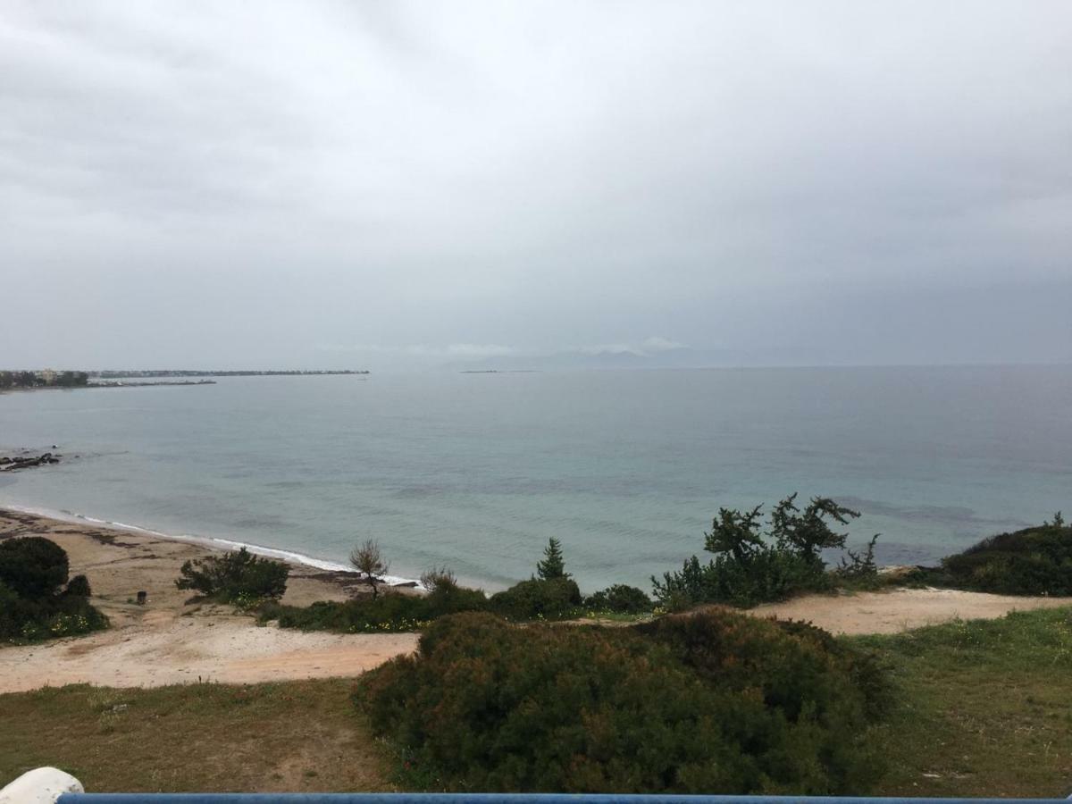 Apartament Euphoria Blue Artemida (Attica)