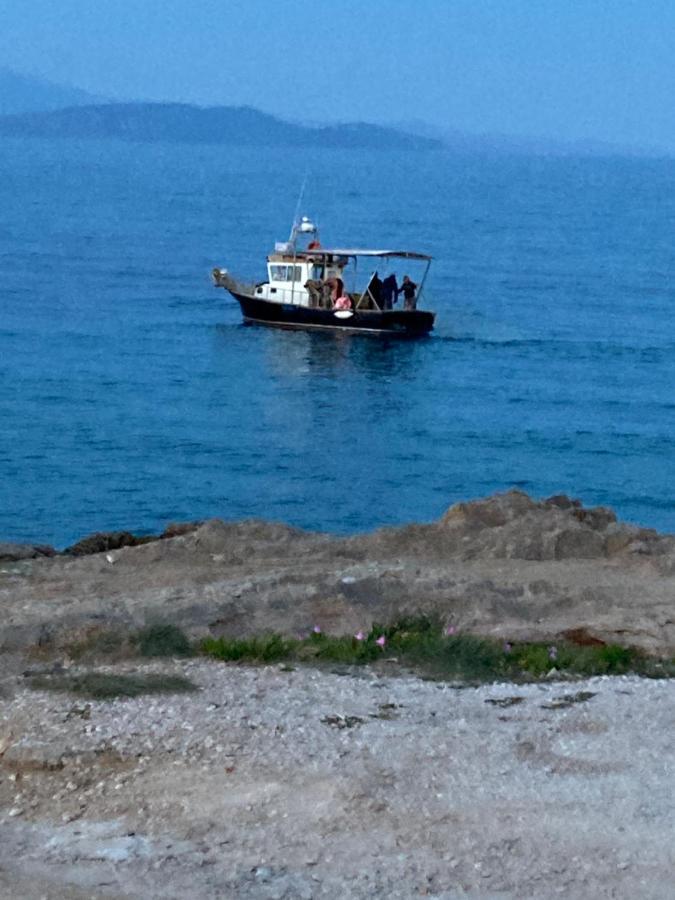 Euphoria Blue * Artemida (Attica)